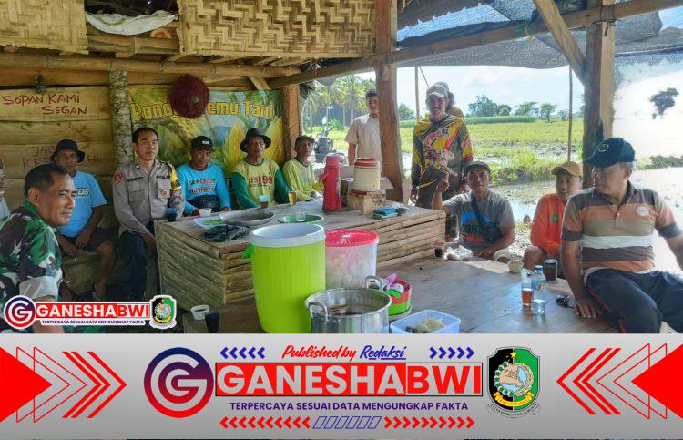 Babinsa Koramil 0825/12 Rogojampi Jalin Sinergi dengan Kelompok Tani Desa Aliyan Babinsa Koramil 0825/12 Rogojampi Jalin Sinergi dengan Kelompok Tani Desa Aliyan