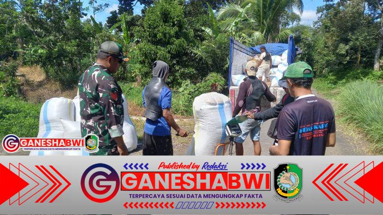 Babinsa Koramil 0825/20 Songgon Kawal Serapan Gabah Petani di 12 Titik Lokasi