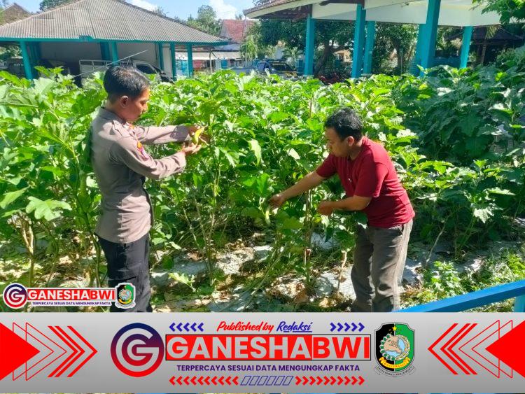 Polresta Banyuwangi Dukung Ketahanan Pangan, Bhabinkamtibmas Dampingi Warga Manfaatkan Pekarangan Polresta Banyuwangi Dukung Ketahanan Pangan, Bhabinkamtibmas Dampingi Warga Manfaatkan Pekarangan