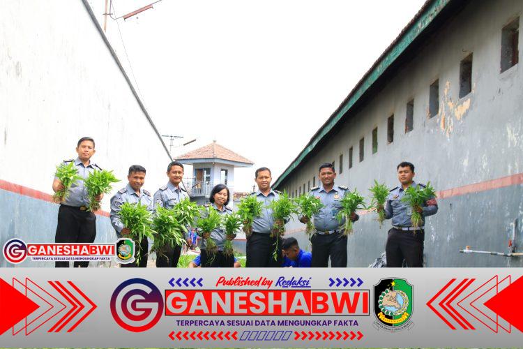 Lapas Banyuwangi Panen Kangkung, Dukung Ketahanan Pangan Nasional dari Lahan Terbatas Lapas Banyuwangi Panen Kangkung, Dukung Ketahanan Pangan Nasional dari Lahan Terbatas