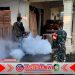 Cegah DBD, Babinsa Sukomaju Dampingi Fogging di Dua Dusun Cegah DBD, Babinsa Sukomaju Dampingi Fogging di Dua Dusun