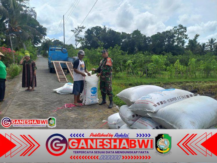 Babinsa Jajag Dampingi Petani Sukseskan Sergab, Perkuat Ketahanan Pangan Nasional Babinsa Jajag Dampingi Petani Sukseskan Sergab, Perkuat Ketahanan Pangan Nasional
