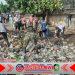 Posal Muncar dan Forkopimca Gelar Kerja Bhakti Bersihkan Sampah di Jalan Sampangan