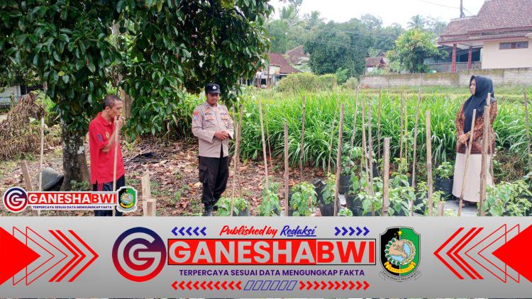 Polisi Dampingi Warga Manfaatkan Pekarangan, Dukung Ketahanan Pangan di Banyuwangi