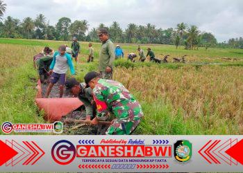 Babinsa Balak dan HIPPA Perbaiki Saluran Irigasi Demi Ketahanan Pangan Berkelanjutan