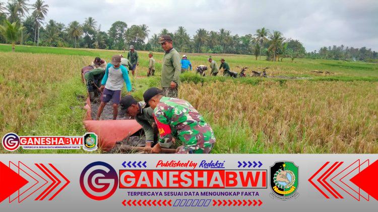Babinsa Balak dan HIPPA Perbaiki Saluran Irigasi Demi Ketahanan Pangan Berkelanjutan Babinsa Balak dan HIPPA Perbaiki Saluran Irigasi Demi Ketahanan Pangan Berkelanjutan