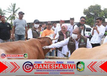 Jelang Idul Adha, Banyuwangi Surplus Hewan Kurban dan Suplai ke Berbagai Daerah