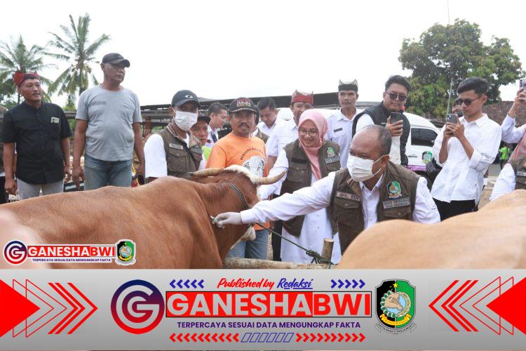 Jelang Idul Adha, Banyuwangi Surplus Hewan Kurban dan Suplai ke Berbagai Daerah