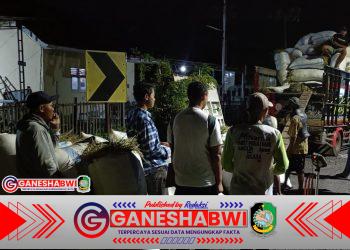 Babinsa Koramil Kabat Bersinergi dengan BULOG Jemput Gabah Petani di Desa Benelan Lor Babinsa Koramil Kabat Bersinergi dengan BULOG Jemput Gabah Petani di Desa Benelan Lor