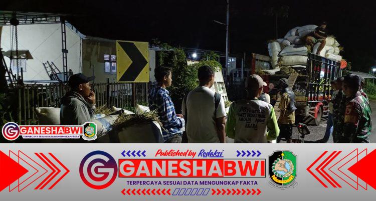 Babinsa Koramil Kabat Bersinergi dengan BULOG Jemput Gabah Petani di Desa Benelan Lor