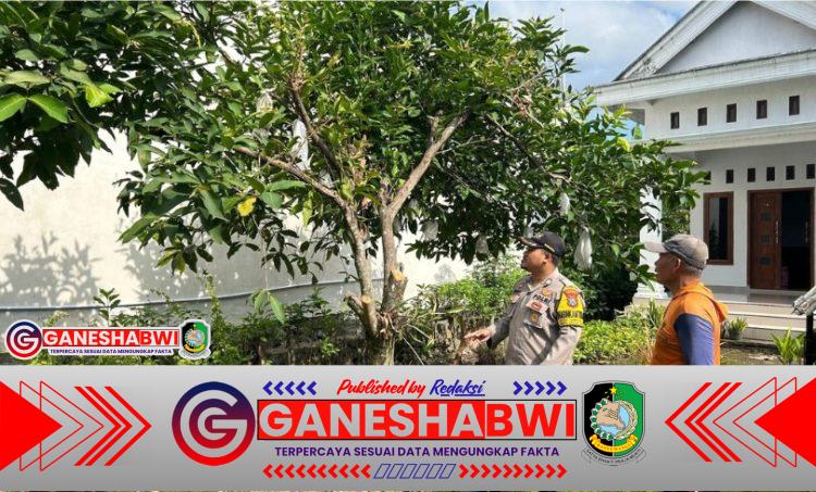 Polsek Tegalsari Dukung Ketahanan Pangan Lewat Monitoring Pekarangan Bergizi Polsek Tegalsari Dukung Ketahanan Pangan Lewat Monitoring Pekarangan Bergizi