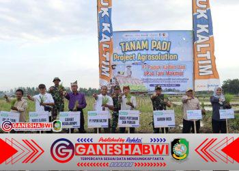 Sinergi Agrosolution Pupuk Kaltim, Dandim 0825 Banyuwangi Dorong Ketahanan Pangan Produktif Lewat Penanaman Padi Perdana