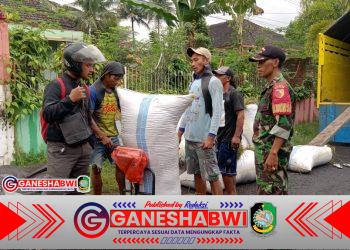 Babinsa Koramil Songgon Produktif Kawal Serapan Gabah Bulog Demi Ketahanan Pangan di Kecamatan Songgon