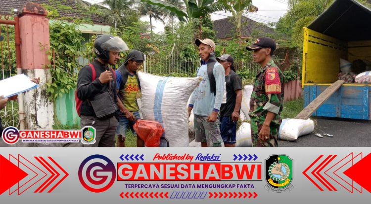 Babinsa Koramil Songgon Produktif Kawal Serapan Gabah Bulog Demi Ketahanan Pangan di Kecamatan Songgon Babinsa Koramil Songgon Produktif Kawal Serapan Gabah Bulog Demi Ketahanan Pangan di Kecamatan Songgon