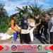 Babinsa Desa Dasri Dampingi Serapan Gabah Bulog untuk Petani