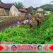 Babinsa Desa Alas Malang Gelar Karya Bakti Perbaikan Aliran Irigasi Sungai Badeng Babinsa Desa Alas Malang Gelar Karya Bakti Perbaikan Aliran Irigasi Sungai Badeng