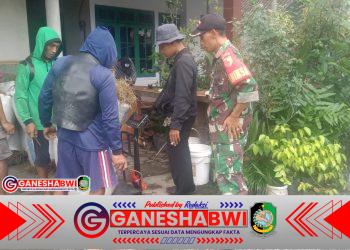 Tiga Babinsa Produktif Kawal Serapan Gabah Bulog di Tiga Desa Sekaligus