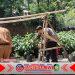 Polisi Gandeng Kelompok Tani Banyuwangi Kembangkan Pekarangan Pangan Lestari Polisi Gandeng Kelompok Tani Banyuwangi Kembangkan Pekarangan Pangan Lestari