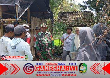 Poktan Samsibar Gelar Pelatihan Pembuatan Pupuk Organik di Desa Tamansuruh, Banyuwangi
