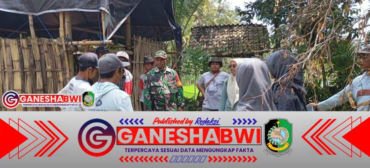 Poktan Samsibar Gelar Pelatihan Pembuatan Pupuk Organik di Desa Tamansuruh, Banyuwangi Poktan Samsibar Gelar Pelatihan Pembuatan Pupuk Organik di Desa Tamansuruh, Banyuwangi