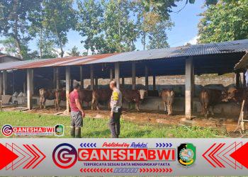 Bhabinkamtibmas Setail Ajak Warga Manfaatkan Pekarangan untuk Ketahanan Pangan dan Gizi