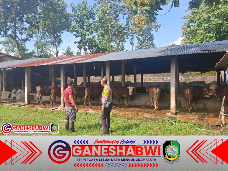 Bhabinkamtibmas Setail Ajak Warga Manfaatkan Pekarangan untuk Ketahanan Pangan dan Gizi