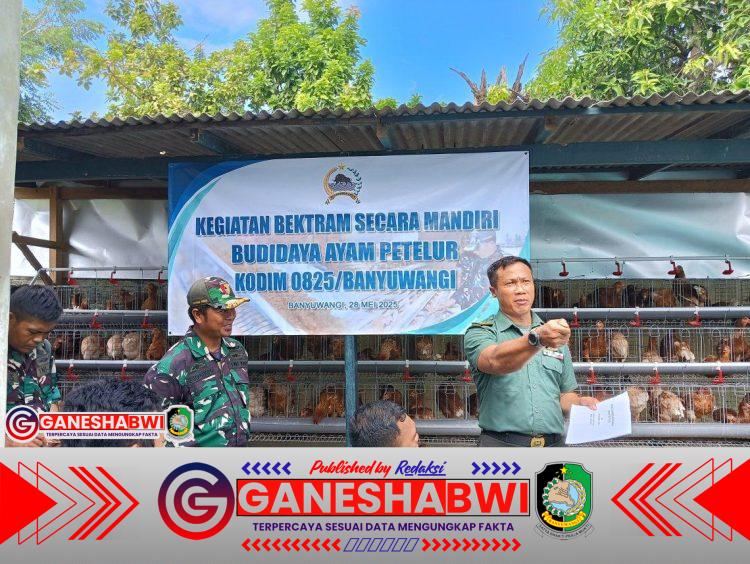 Kodim 0825/Banyuwangi Gelar Pelatihan Budidaya Ayam Petelur untuk Bekali Purna Tugas Produktif