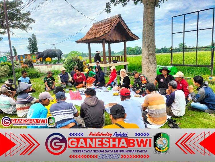 Babinsa Rogojampi Dampingi Petani Watukebo Kendalikan Hama Tikus Demi Lindungi Panen