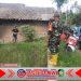 Babinsa Dukung Gardal OPT di Tamansuruh: Inovasi Tangani Hama Tikus Sawah Babinsa Dukung Gardal OPT di Tamansuruh: Inovasi Tangani Hama Tikus Sawah