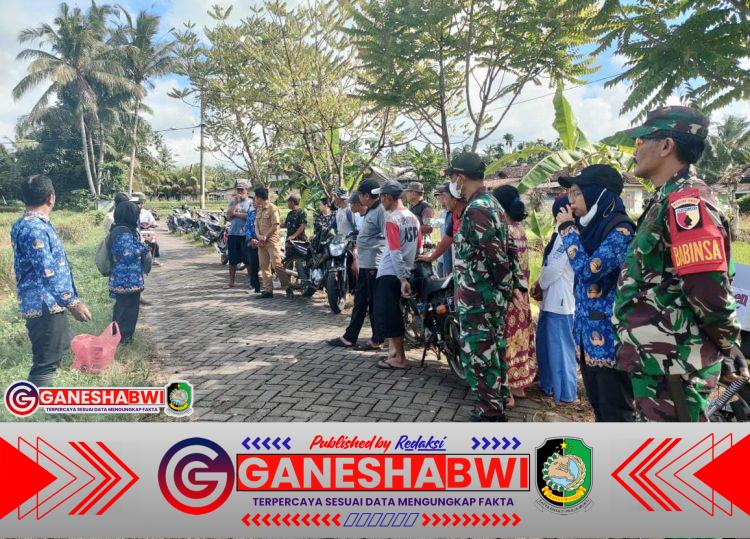 Babinsa Koramil Kalipuro Dampingi Penanggulangan Hama Tikus di Sawah Desa Pesucen Babinsa Koramil Kalipuro Dampingi Penanggulangan Hama Tikus di Sawah Desa Pesucen