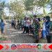 Babinsa Koramil Kalipuro Dampingi Penanggulangan Hama Tikus di Sawah Desa Pesucen Babinsa Koramil Kalipuro Dampingi Penanggulangan Hama Tikus di Sawah Desa Pesucen