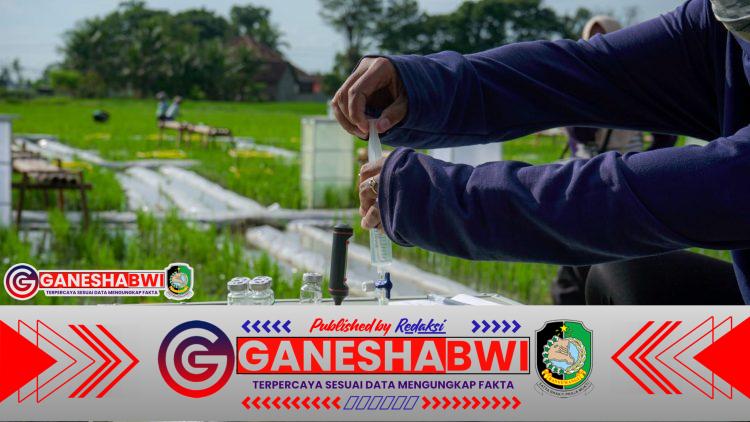 Banyuwangi Kembangkan Beras Biofortifikasi Bernutrisi dengan Teknologi Ramah Lingkungan