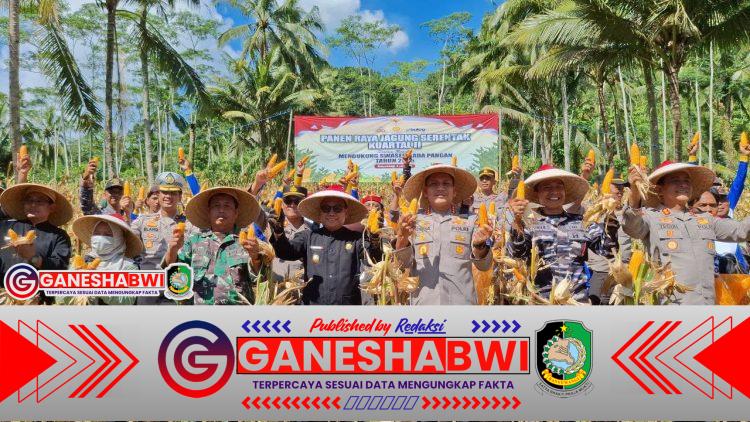 Kasdim 0825/Banyuwangi Hadiri Panen Raya Jagung Serentak Tahap 2 di Glenmore Kasdim 0825/Banyuwangi Hadiri Panen Raya Jagung Serentak Tahap 2 di Glenmore