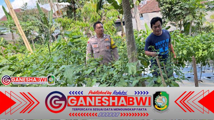 Polresta Banyuwangi Dukung Program P2B Presiden Prabowo di Karangsari