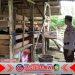 Peternakan Kambing di Bangorejo Banyuwangi Dukung Program Ketahanan Pangan Nasional