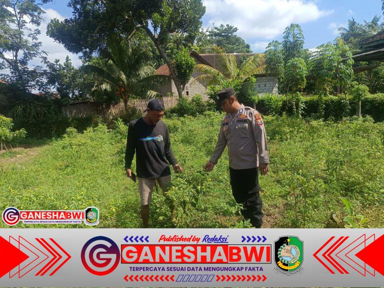 Polisi Banyuwangi Dukung Ketahanan Pangan Nasional Lewat Pekarangan Pangan Lestari Polisi Banyuwangi Dukung Ketahanan Pangan Nasional Lewat Pekarangan Pangan Lestari