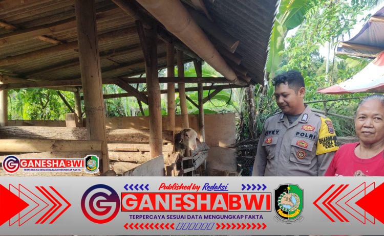 Polresta Banyuwangi Dukung Ketahanan Pangan Lewat Peternakan Domba di Lahan Kosong Desa Glagah
