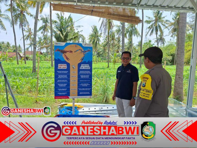 Polresta Banyuwangi Dukung Ketahanan Pangan Presiden Prabowo Lewat Budidaya Udang Air Tawar
