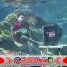 Pertama di Banyuwangi, Sendang Seruni Tawarkan Spot Foto Underwater Air Tawar