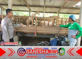 Polresta Banyuwangi Dampingi Warga Beternak Kambing, Dorong Ketahanan Pangan dari Desa