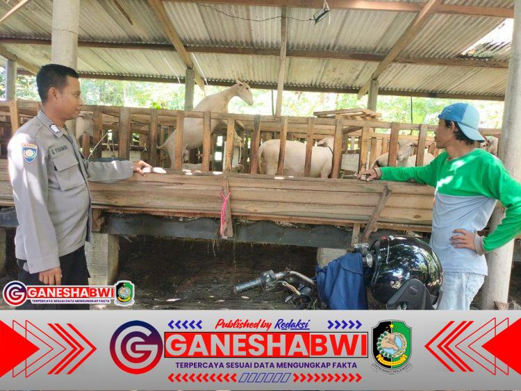 Polresta Banyuwangi Dampingi Warga Beternak Kambing, Dorong Ketahanan Pangan dari Desa