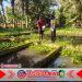 Polresta Banyuwangi Dukung Ketahanan Pangan, Bhabinkamtibmas Pantau Budidaya Ikan Nila Warga Polresta Banyuwangi Dukung Ketahanan Pangan, Bhabinkamtibmas Pantau Budidaya Ikan Nila Warga