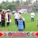 Sejalan Program Swasembada Prabowo, Produksi Beras Banyuwangi Surplus 159 Ribu Ton