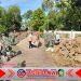 Sambut TMMD Ke-125, Babinsa Kodim Banyuwangi dan Warga Siliragung Gelar Gotong Royong Produktif Sambut TMMD Ke-125, Babinsa Kodim Banyuwangi dan Warga Siliragung Gelar Gotong Royong Produktif