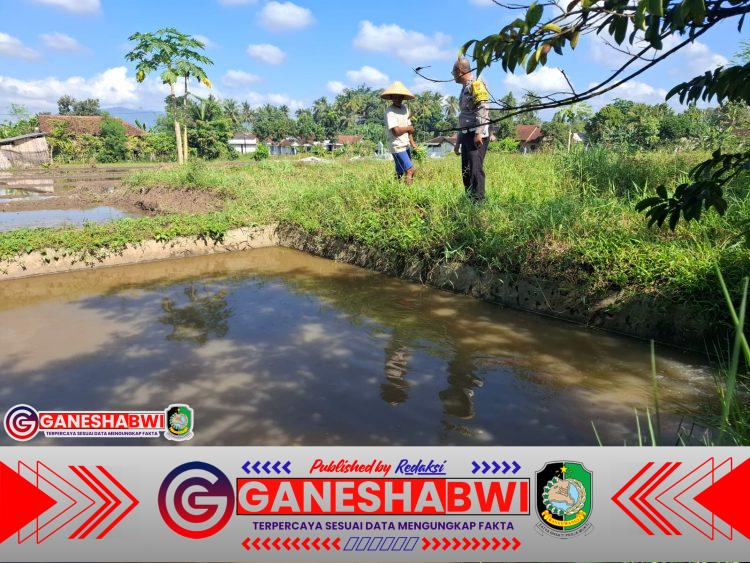 Polisi Bina Peternak Ikan Nila di Genteng Banyuwangi, Dukung Ketahanan Pangan Program Presiden Prabowo