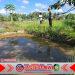 Polisi Bina Peternak Ikan Nila di Genteng Banyuwangi, Dukung Ketahanan Pangan Program Presiden Prabowo Polisi Bina Peternak Ikan Nila di Genteng Banyuwangi, Dukung Ketahanan Pangan Program Presiden Prabowo