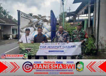 Koramil 0825/20 Songgon Dampingi Bulog Serap 2,2 Ton Gabah Petani, Harga Stabil Petani Tersenyum