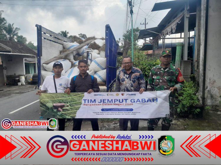 Koramil 0825/20 Songgon Dampingi Bulog Serap 2,2 Ton Gabah Petani, Harga Stabil Petani Tersenyum Koramil 0825/20 Songgon Dampingi Bulog Serap 2,2 Ton Gabah Petani, Harga Stabil Petani Tersenyum