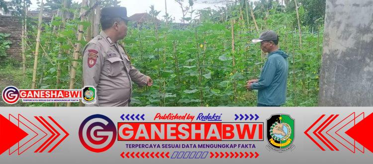 Sinergi Polri dan Warga Hijaukan Pekarangan dengan Mentimun, Dorong Kemandirian Pangan Keluarga