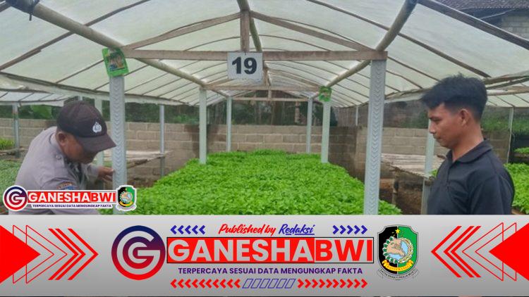 Dukung Asta Cita Presiden, Polsek Sempu Tinjau Pekarangan Cabai Warga Jambewangi Dukung Asta Cita Presiden, Polsek Sempu Tinjau Pekarangan Cabai Warga Jambewangi